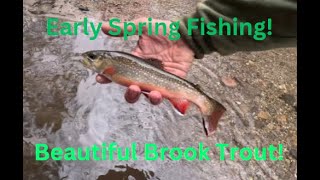 Searching For Brook Trout! ~PA Trout fishing 2024 (EpIV) *DYING FISH UPDATE!*