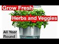 Grow Fresh Herbs and Vegetables All Year-Round - TNNBC Amazon Must Have