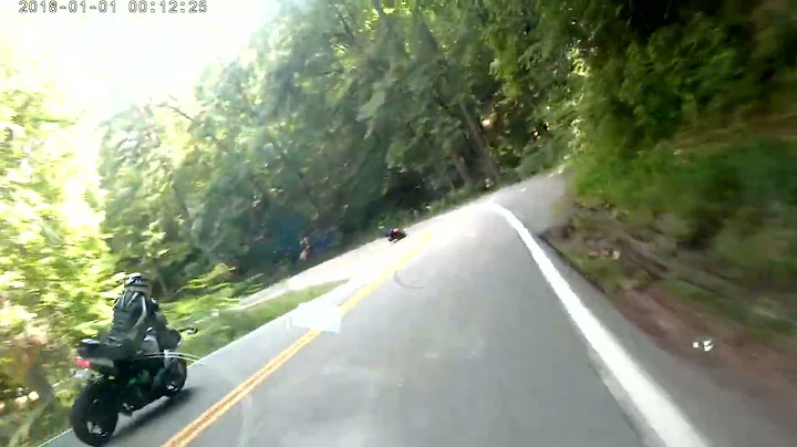 Tail of the Dragon 8-15-2022