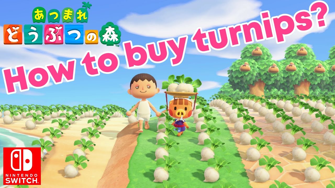 Nintendo Animal Crossing New Horizons How to buy turnips Gameplay