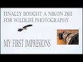 Nikon Z6II first impressions for wildlife photography.