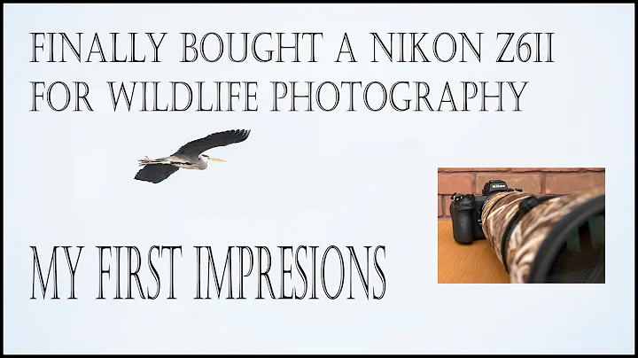 Nikon Z6II first impressions for wildlife photogra...