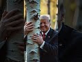 🇷🇺🌳Трамп перепел «Берёзы» группы ЛюбэТы #Трамп #Россия #Любовь #Природа #Америка #Любэ #США