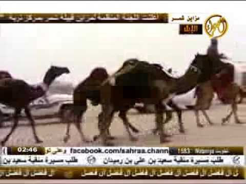 مسيرة فردي للمالك سعيد بن علي بن رميدان الصيعري