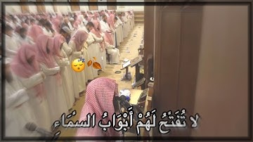 (لا تُفَتَّحُ لَهُمْ أَبْوَابُ السَّمَاءِ)..تلآوة تريح القلوب | القارئ : محمد اللحيدان |😴🍂