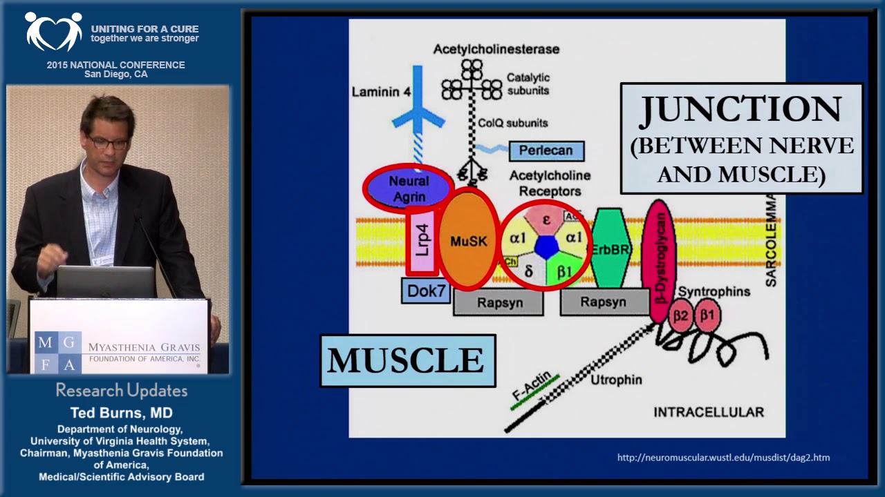 camera iphone 8 plus apk 2015 National Conference Update 2015 Research in Myasthenia Gravis