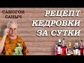 Как сделать кедровую настойку за сутки? / Рецепты настоек / Самогон Саныч