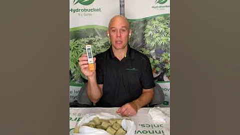 Getting started with DWC