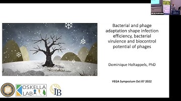 VEGA 2022: Dominique Holtappels