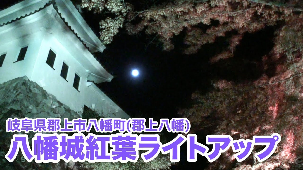 岐阜県郡上市 郡上八幡 八幡城紅葉ライトアップ Gujo Hachiman Youtube