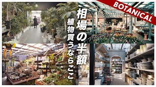 【広い！安い！どれも半額？！】信じられない品数と安さ！植物買うなら絶対おすすめのお店（GHB Fukuoka Effect）
