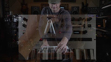 Korg Monologue Presets Part 2