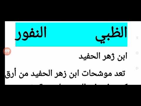 شرح وإعراب موشح الظبي النفور سدلن ظلام الشعور لابن زهر الحفيد ودراسة أدبية لطلاب الحادي عشر