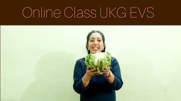 Online Class UKG EVS part 7 / (VEGETABLES)