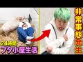 動物嫌いに24時間共同生活をさせたら、非常事態発生で中止する事になりました