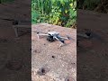 dji drone video #djidrone #shortvideo #drone #velocidrone #dji #automobile #fpv #video #funny