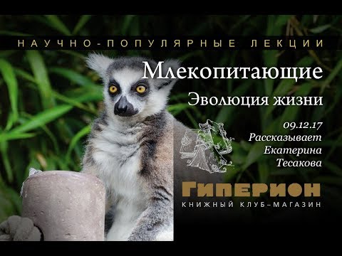 'Млекопитающие - новые