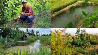 สุดยอดไร่นาสวนผสมสวยๆที่ประสบความสำเร็จ!!มีกินมีเก็บหมดหนี้หมดสินตามศาสตร์พระราชา