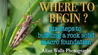 Where to Begin? Six Steps to Building a Rock Solid Macro Photography Foundation