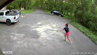 Bear Chases Dog Down Minnesota Driveway