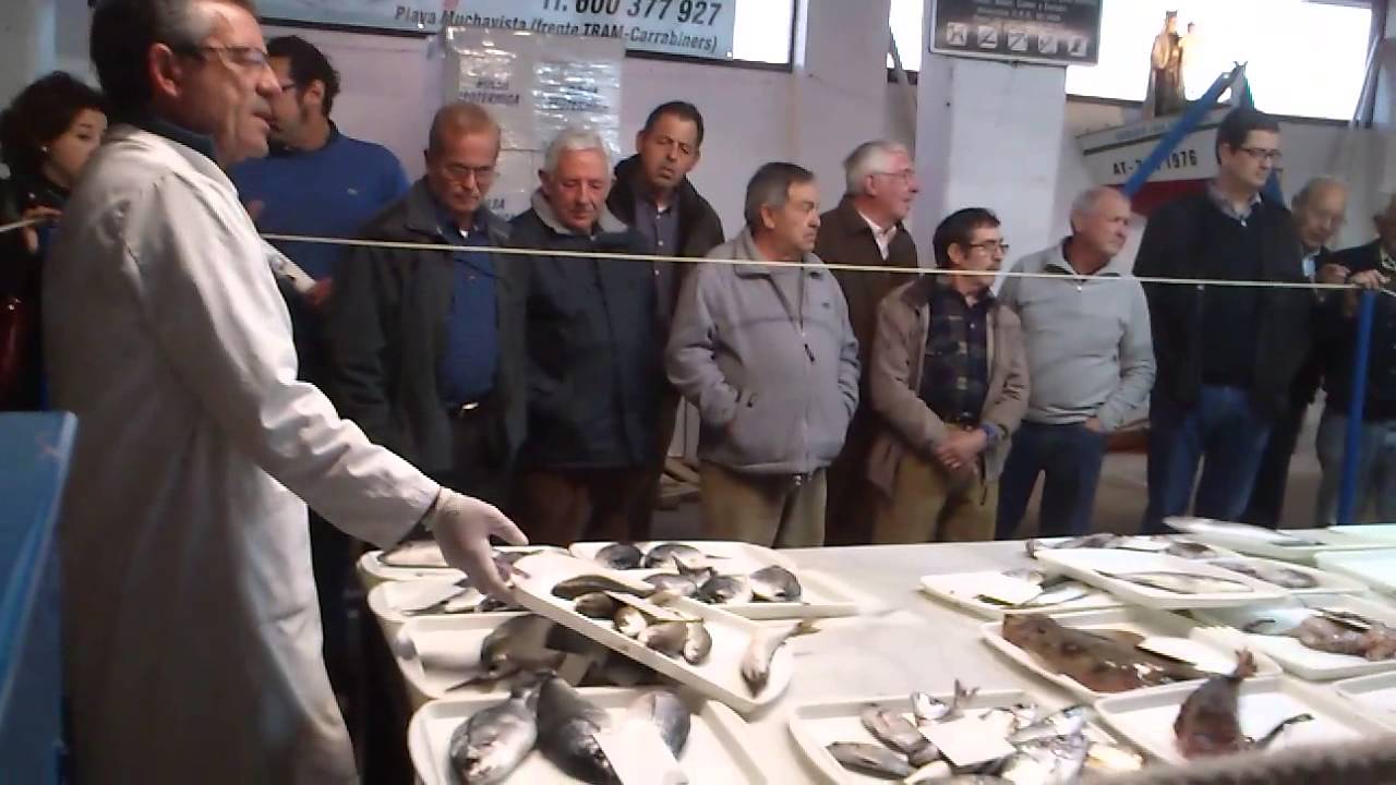 Subasta de pescado en la lonja de El Campello 2013