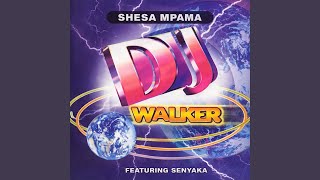 DJ Walker - Respect