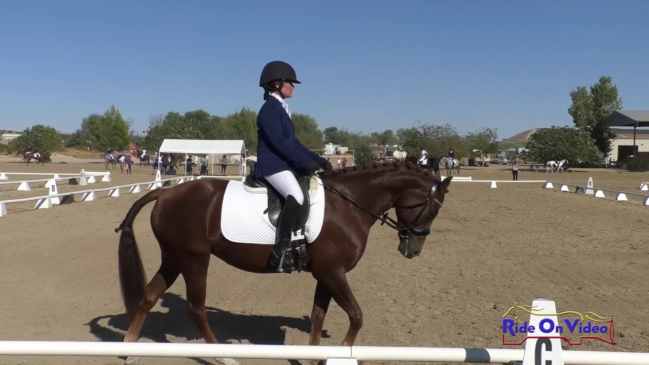 horseshoe bend 337D Alice Chan on Merriewold Quintessa Intro Dressage Twin Rivers Ranch Sept. 2019