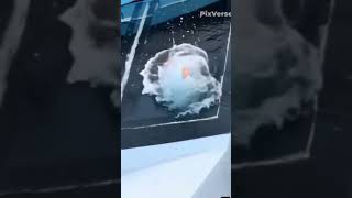 فيديو جديد اللي تركت مصطفى الجن اخواتك بتروح سد او مفتوح سمعها