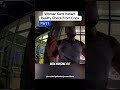 woman gets instant reality check from the cops.