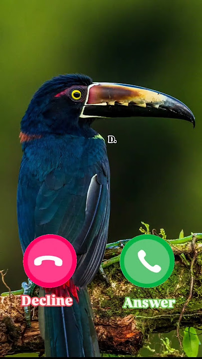 #ringtone #smartphone #ringtones #music