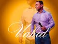 Vahidin Mustafi  -Tri sina (cover-live)Vahid Vaha-Live