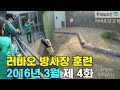 [PandaTV] Panda Lebao exploring the Everland enclosure in March 2016, 판다 러바오 2016년 3월 에버랜드 방사장 체험