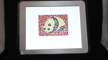 C901 LCD Vision Chart Demonstration