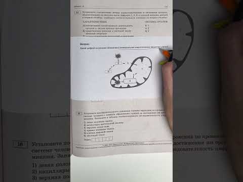 Задание ЕГЭ по биологии #умскул_биология #жаннаказанская #умскул #биология #егэ2023 #егэбиология