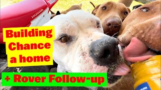 Building Chance a Home | Rover Followup with Surgeon | More Delicious Doggy Peanut Butter