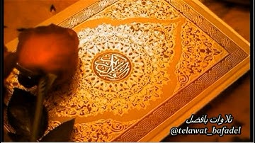 تراويح ليلة 13 رمضان 1440 هـ . سورة {المائدة} [17-38] القارئ: عبدالعزيز بافضل
