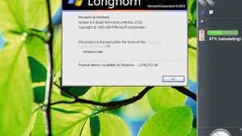 Installing windows longhorn build 4074 on vmware