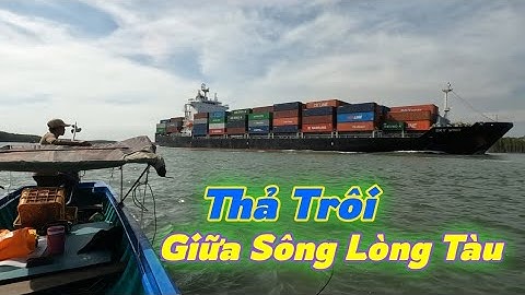 Câu Cá Nhám Gặp Sự Cố Chơi Vơi Giữa Sông Lớn | Gia Đình Cần Giờ .124 |