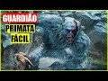 GUARDIÃO PRIMATA MODO EASY BOX - CORTE LIVE DE 11H DO COLAPSO - DESAFIO PEDREIRO GOURMET