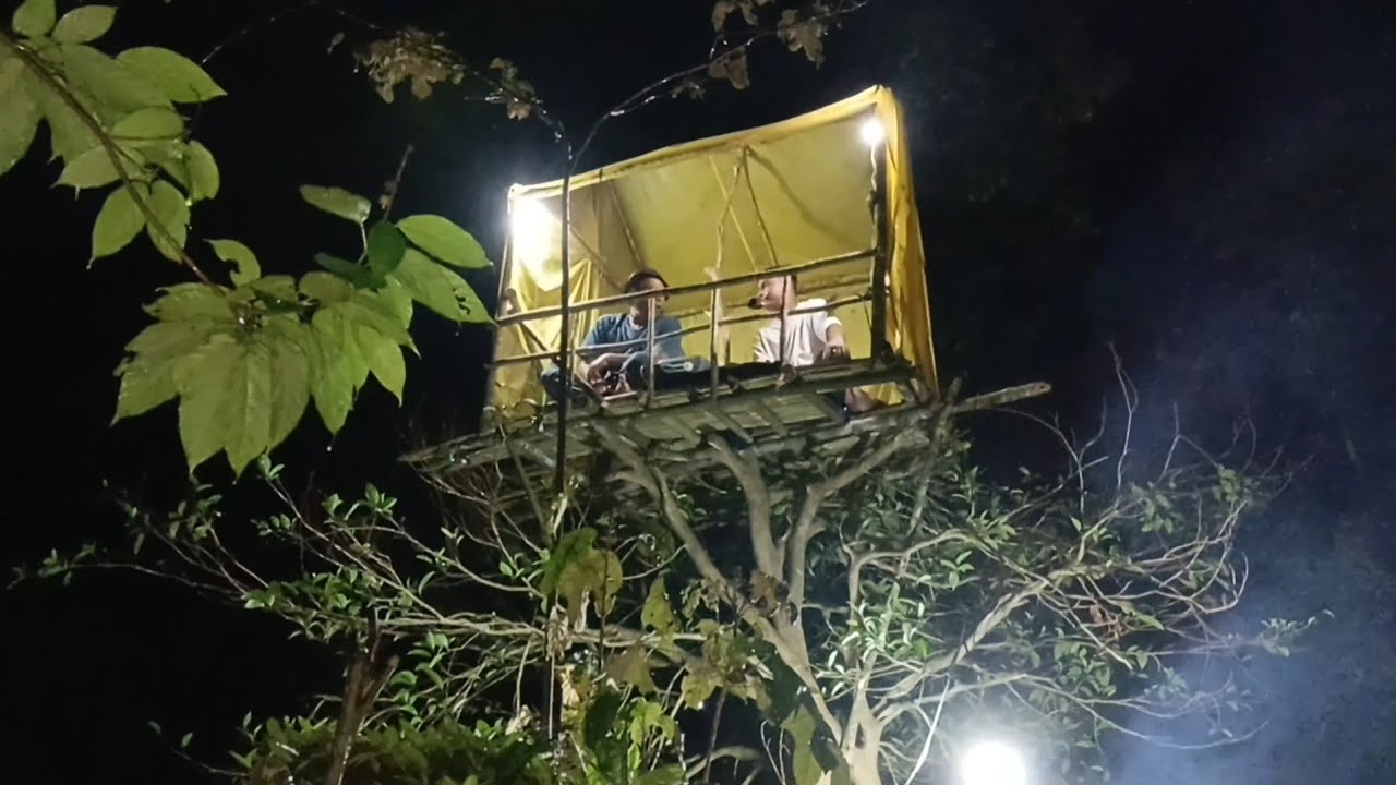 Camping hujan deras di pinggir sungai makan enak di atas rumah pohon berpetualang fishing