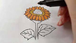 Color and complete the sunflower picture