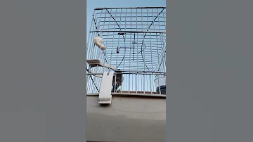 مقنين العبادية عين الدفلى 