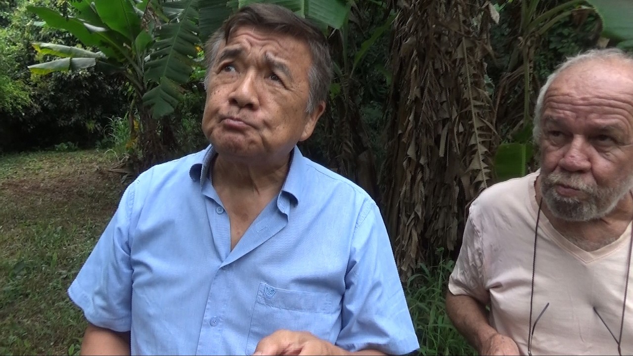 Uhuu! Hoje Vamos Comer Taioba na Fazenda Bimini - 21/02/2026