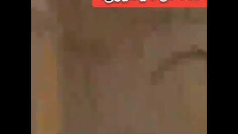 تلاوة للقارئ بلال الأغبري- مسجد تشاملجا ـ مسجد أويس أردوغان #اسطنبول. #تركيا.