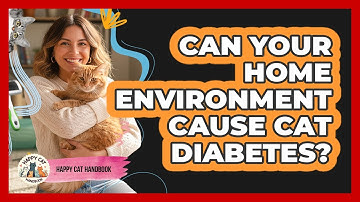 Can Your Home Environment Cause Cat Diabetes? - Happy Cat Handbook