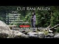 5 Lagu Galau Pilihan Cut Rani Auliza Viral  2023