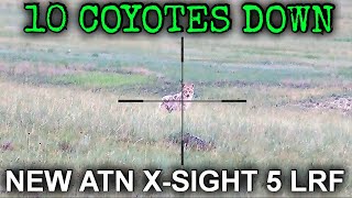 10 Coyotes Down New Atn X-Sight 5 Lrf Coyote Hunting Footage 6Mm Arc