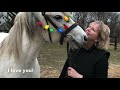 Connemara Pony Christmas Greeting - From Vickie Maris & Chirico