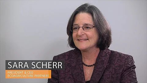 Tackling agricultural productivity also helps mitigate climate change threats