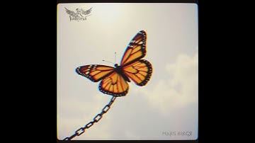 07 Valkyria - 𐌼𐌰𐍂𐍃 𐌱𐌹𐍂𐌾𐍉